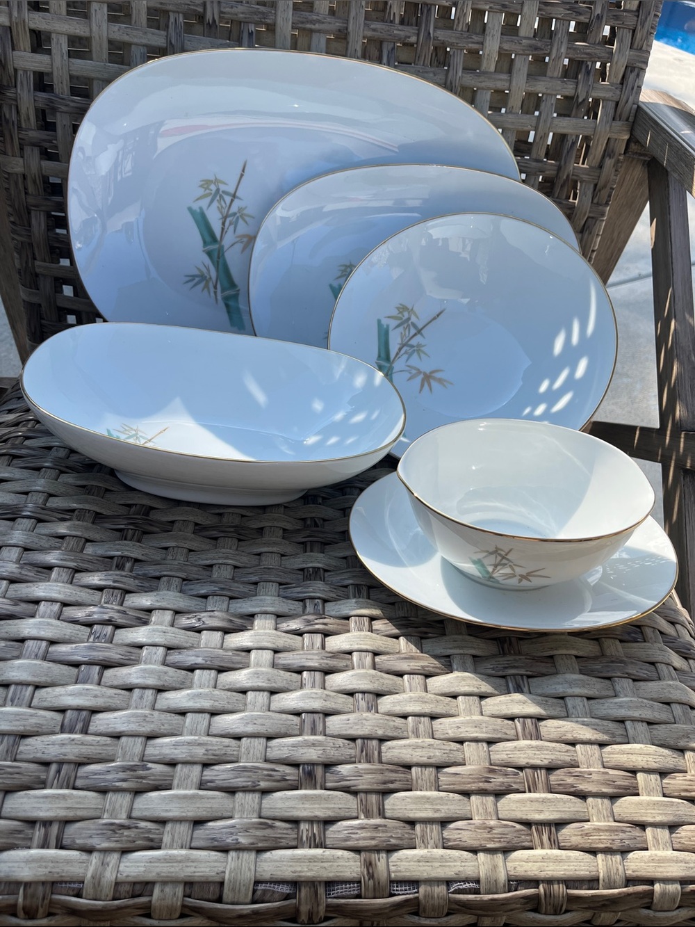 The Noritake "Oriental" (Pattern 6341) 5pc fine China beautiful bamboo